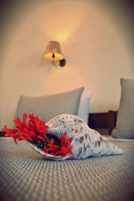 Apartamento Anemologio Finikas  Habitación foto